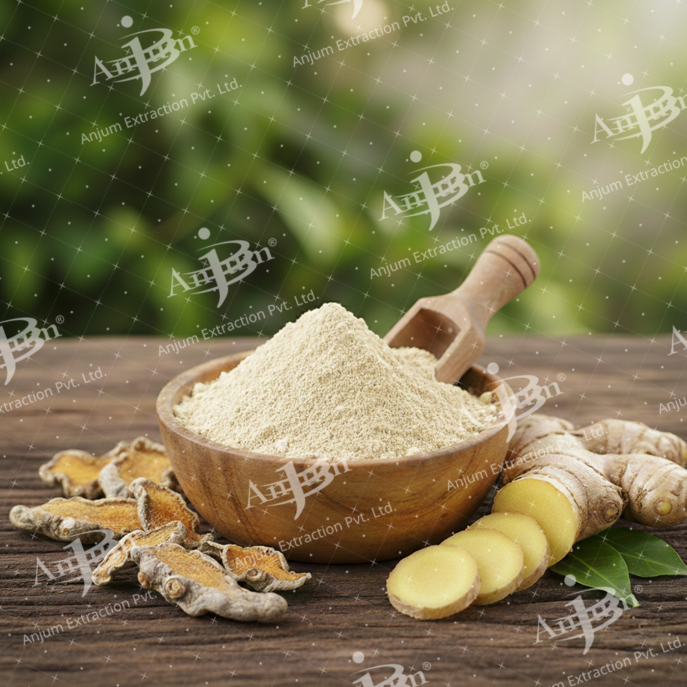 KOPHER セット Curcuma Amiee Kachura Extract Manufacturer | GMP ISO HACCP Halal Kosher